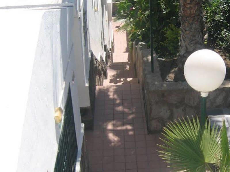 Apartamentos Laguna Puerto Rico  Eksteriør billede